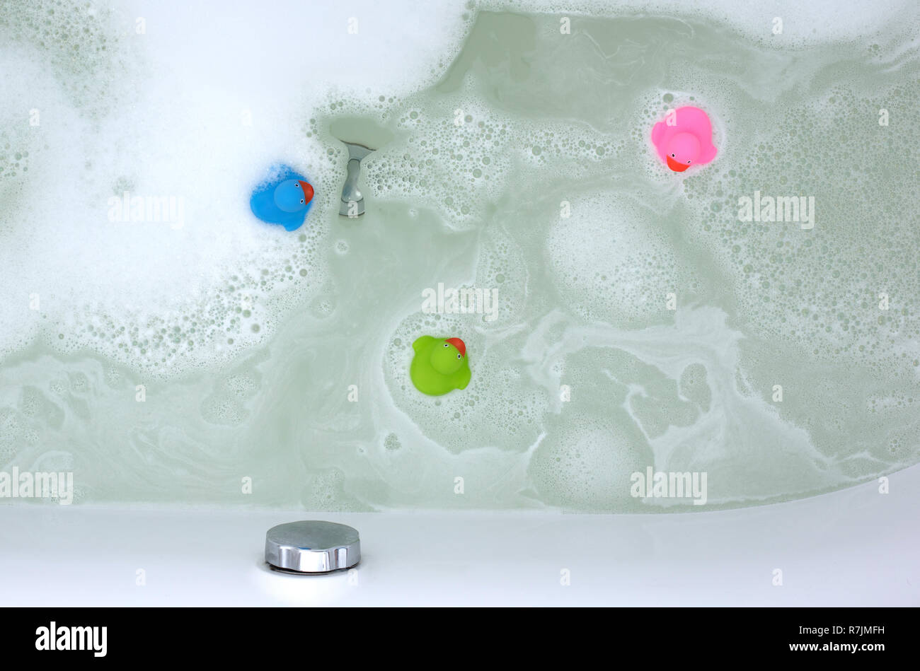 Pink, green and blue duck in a bathtub, surrounded by soap Stock Photo ...