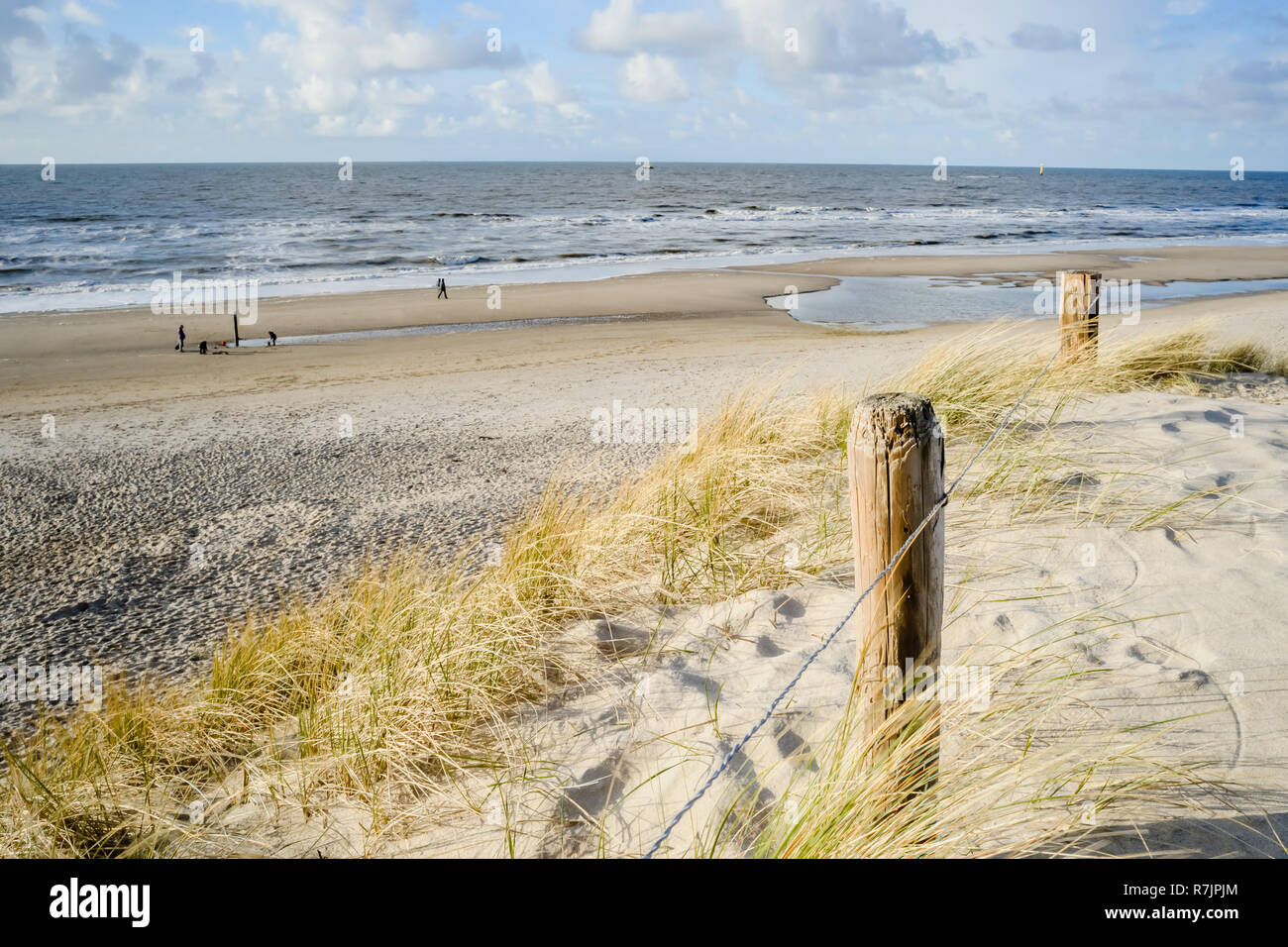 View on the beach from the sand dunes in the Netherlands Stock Photo ...