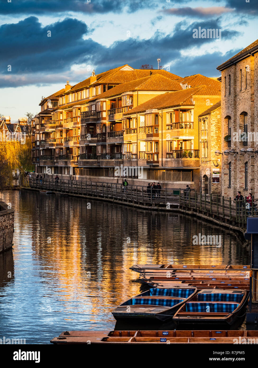 Cambridge Quayside - buildings lit by evening sunshine on the bank of the River Cam in central Cambridge UK Stock Photo