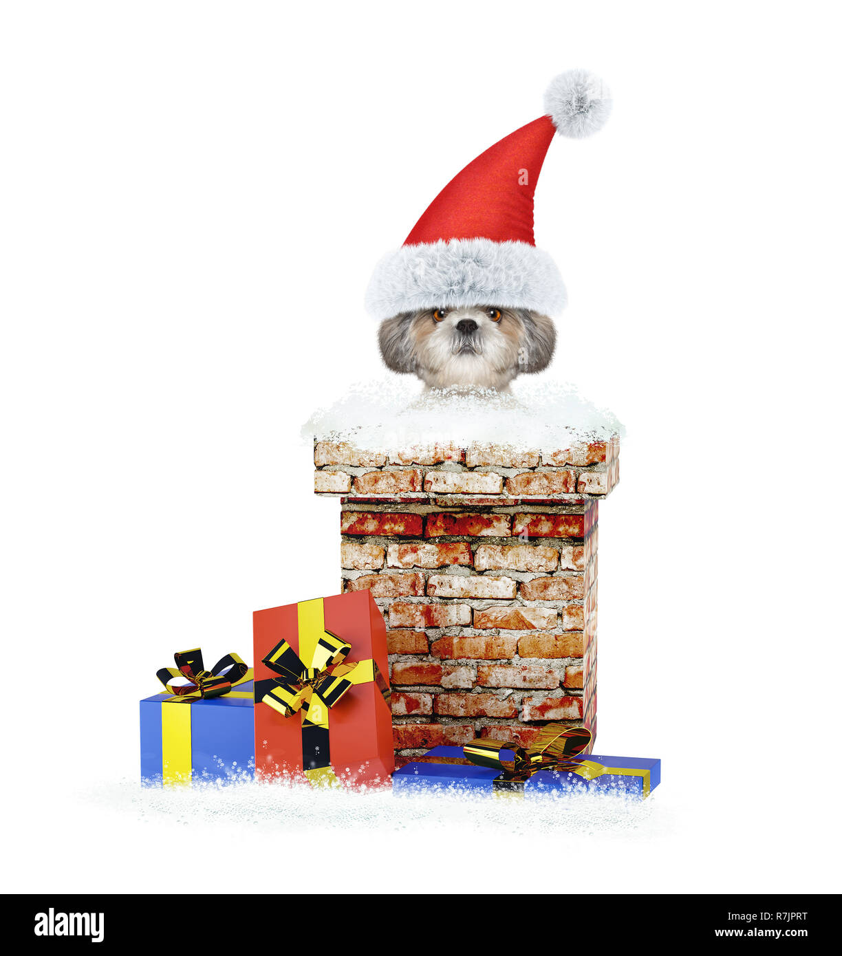 Happy shitzu santa dog climbs out of chimney. Isolated on white Stock Photo