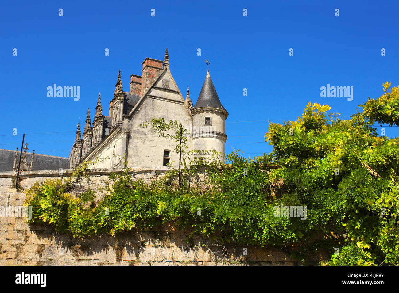 Chateau de Amboise medieval castle, Loire Valley, France. UNESCO World Heritage site Stock Photo
