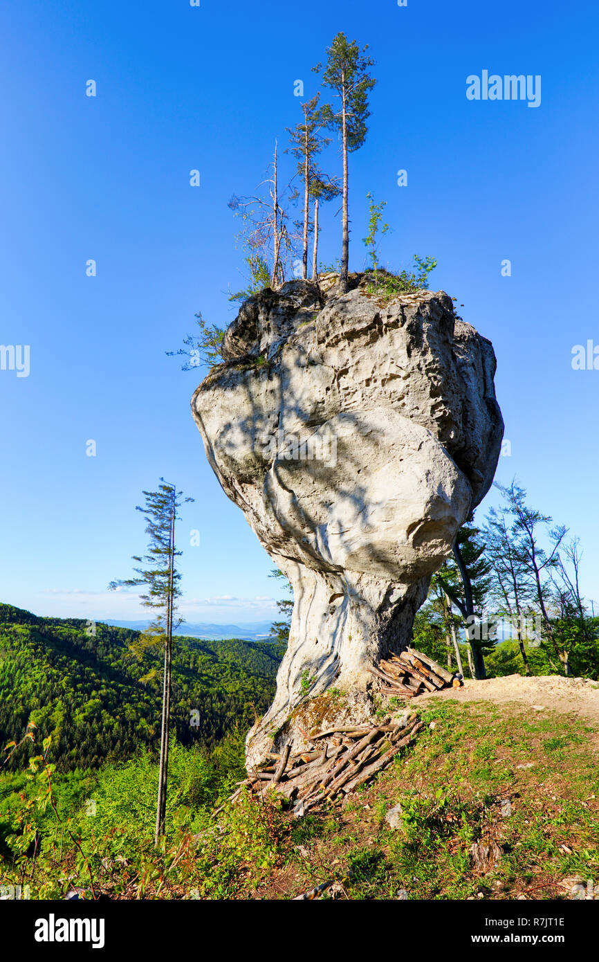 Big rock with name Budzogan in Slovakia Stock Photo