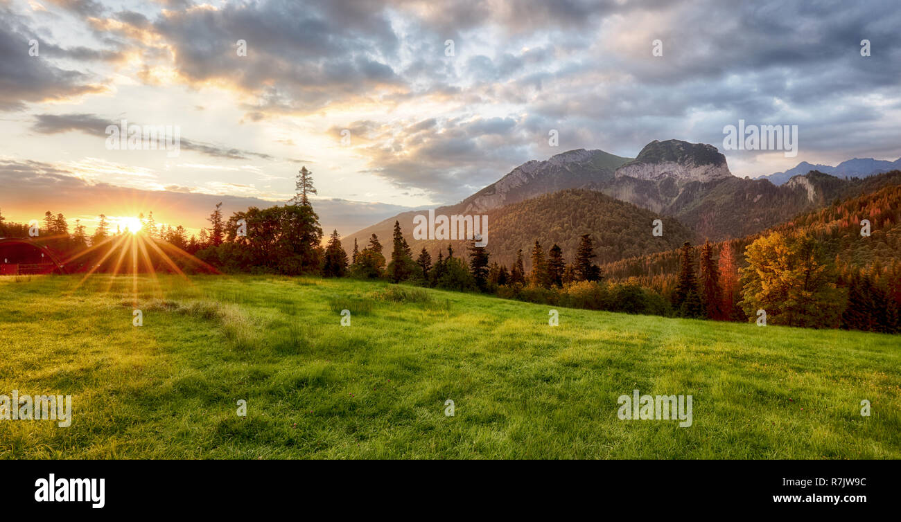 Beautiful summer landscape in the mountains. Sunrise Stock Photo - Alamy