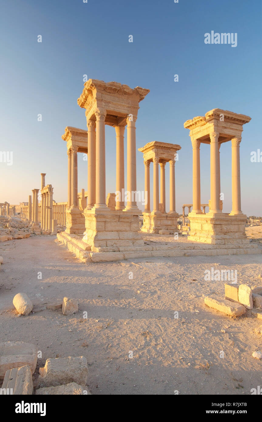 Ruins of the ancient city of Palmyra in the morning light, UNESCO World ...