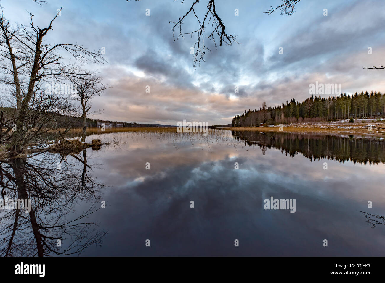 Sweden on december 10 hi-res stock photography and images - Alamy
