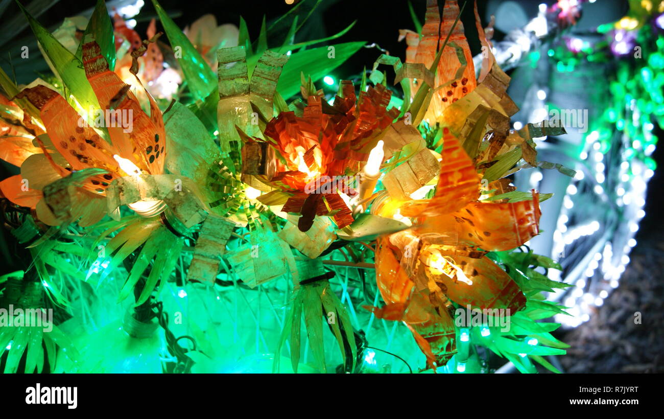 Close up picture of an orange flowers bouquet made with fairy christmas lights shining at night in a garden Stock Photo