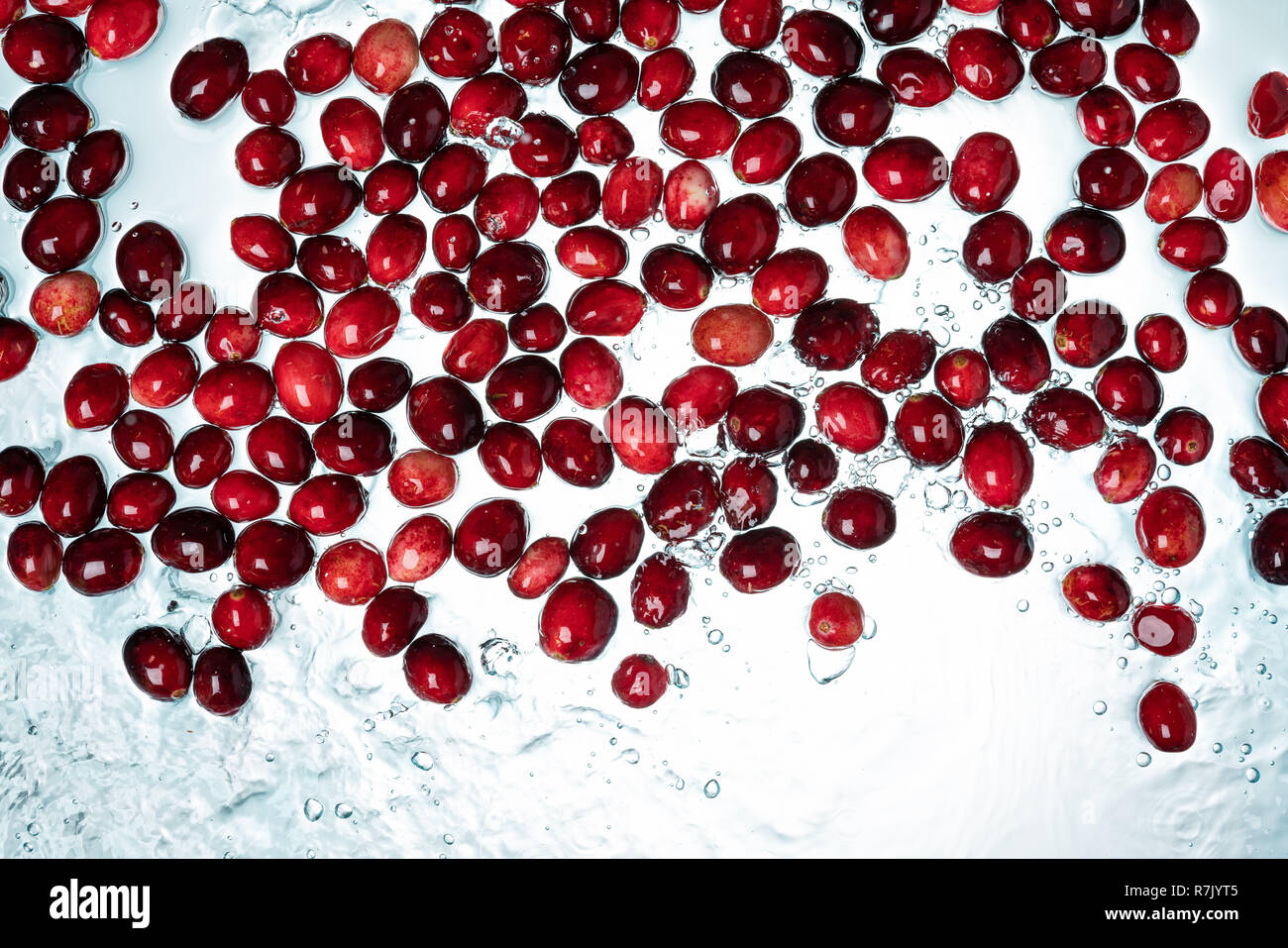 Cranberries Water Splash on White Background Stock Photo Alamy