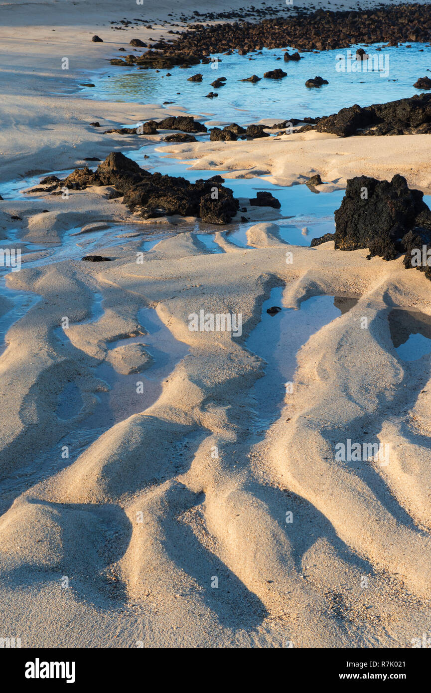Dragon Hill beach, Santa Cruz Island, Galapagos Islands, Ecuador