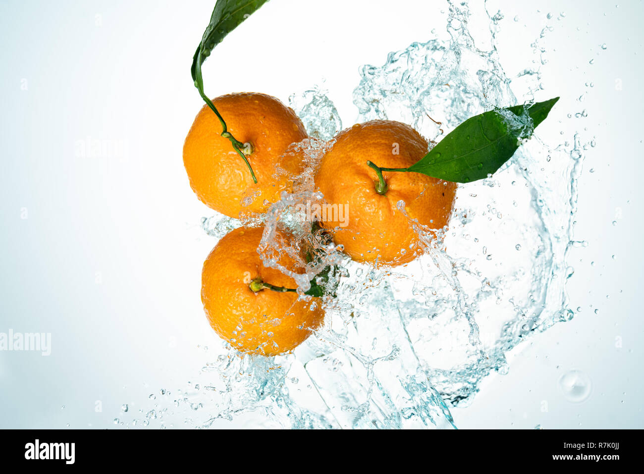 Oranges Water Splash on white background Stock Photo Alamy