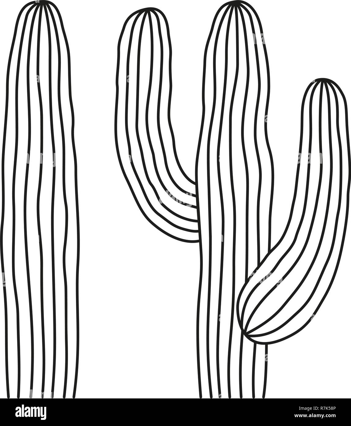 Line art black and white mexican cactus Stock Vector