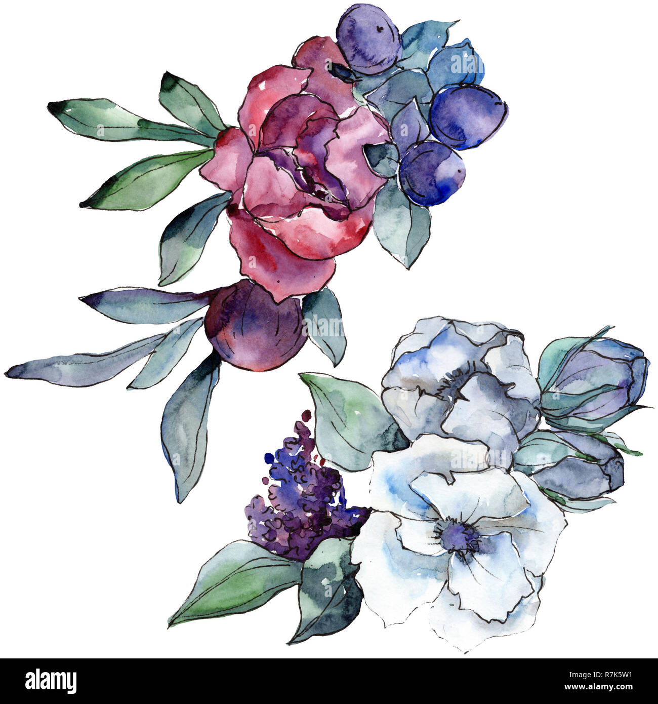 Bouquet floral botanical flower. Watercolor background illustration.  Watercolour drawing aquarelle. Isolated bouquet Stock Photo - Alamy