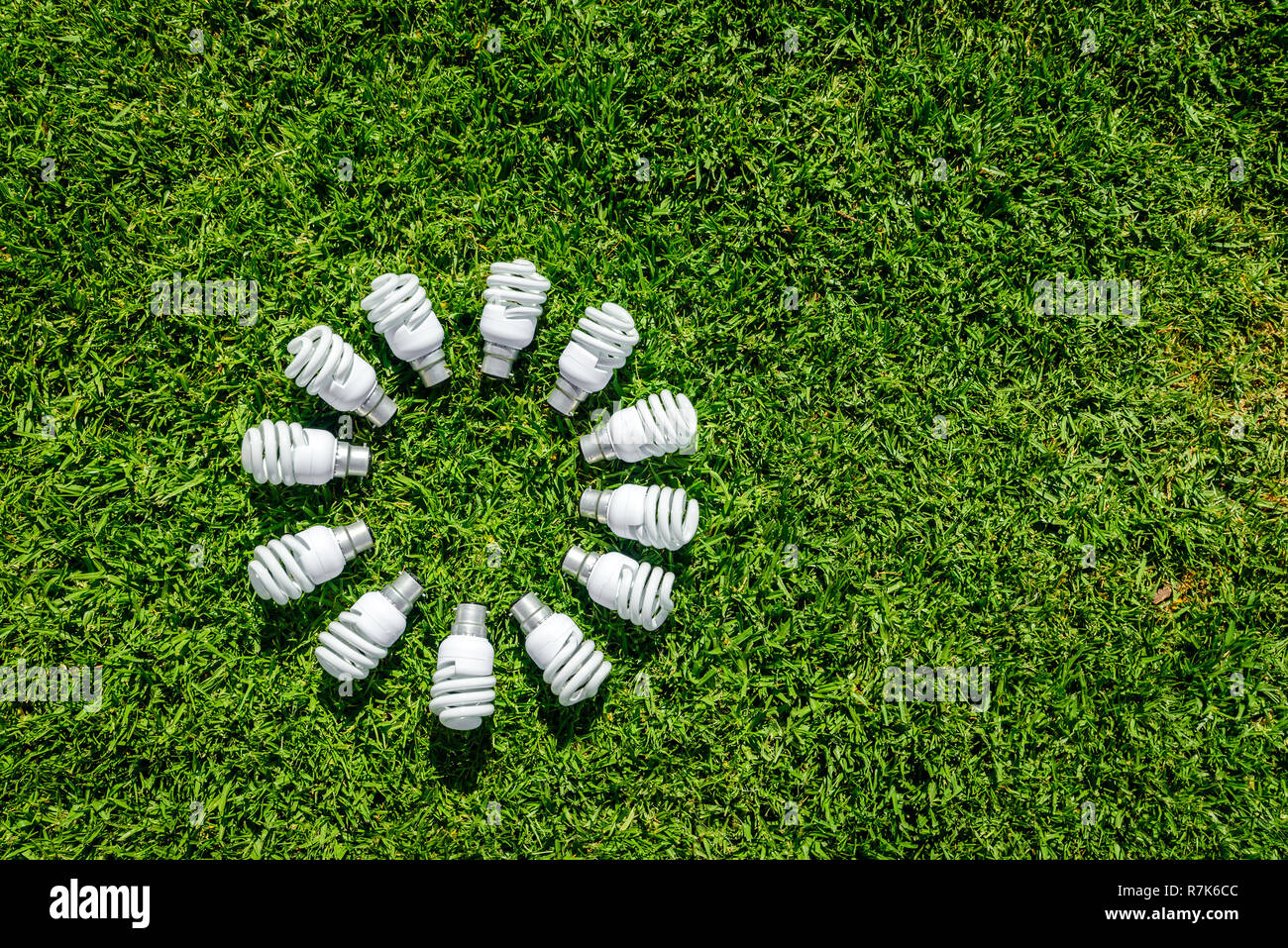 Energy saving light bulbs on grass forming circle. Energy saving concept Stock Photo