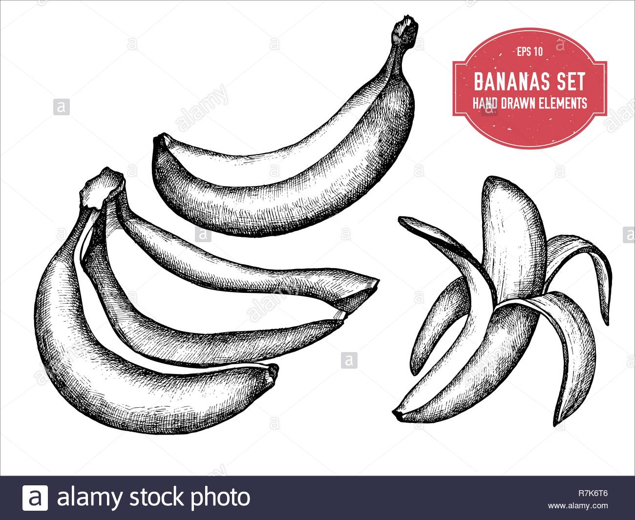 Black Bananas Stock Photos & Black Bananas Stock Images - Alamy