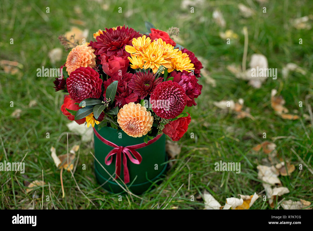 Flower arrangement in a box, a pot with pink, red, orange, marsala for a girl as a gift with roses, asters, freesia, Eucalyptus on a background of law Stock Photo