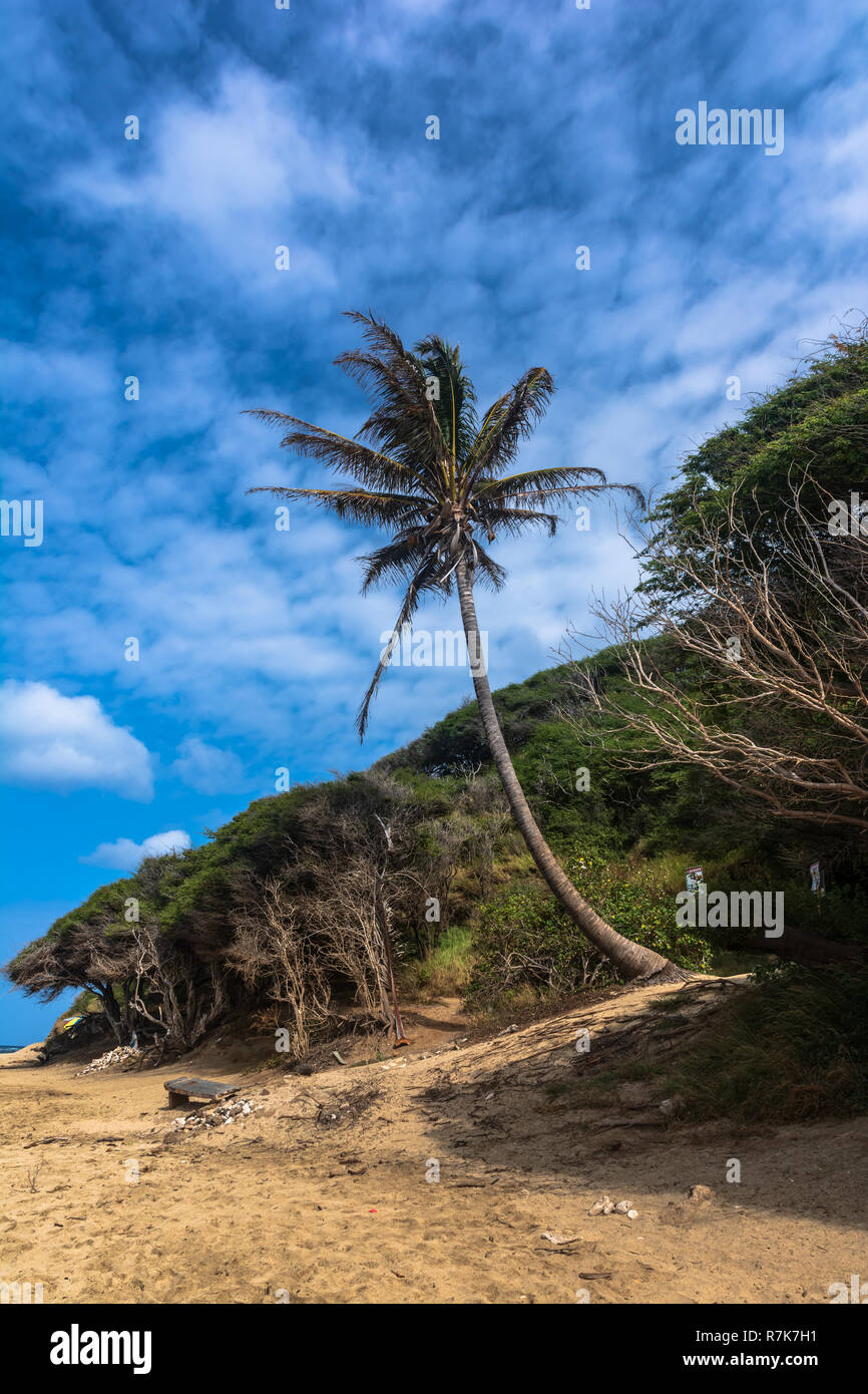 Sand beach in Diamond Head Beach Park, Oahu, Hawaii Stock Photo Alamy