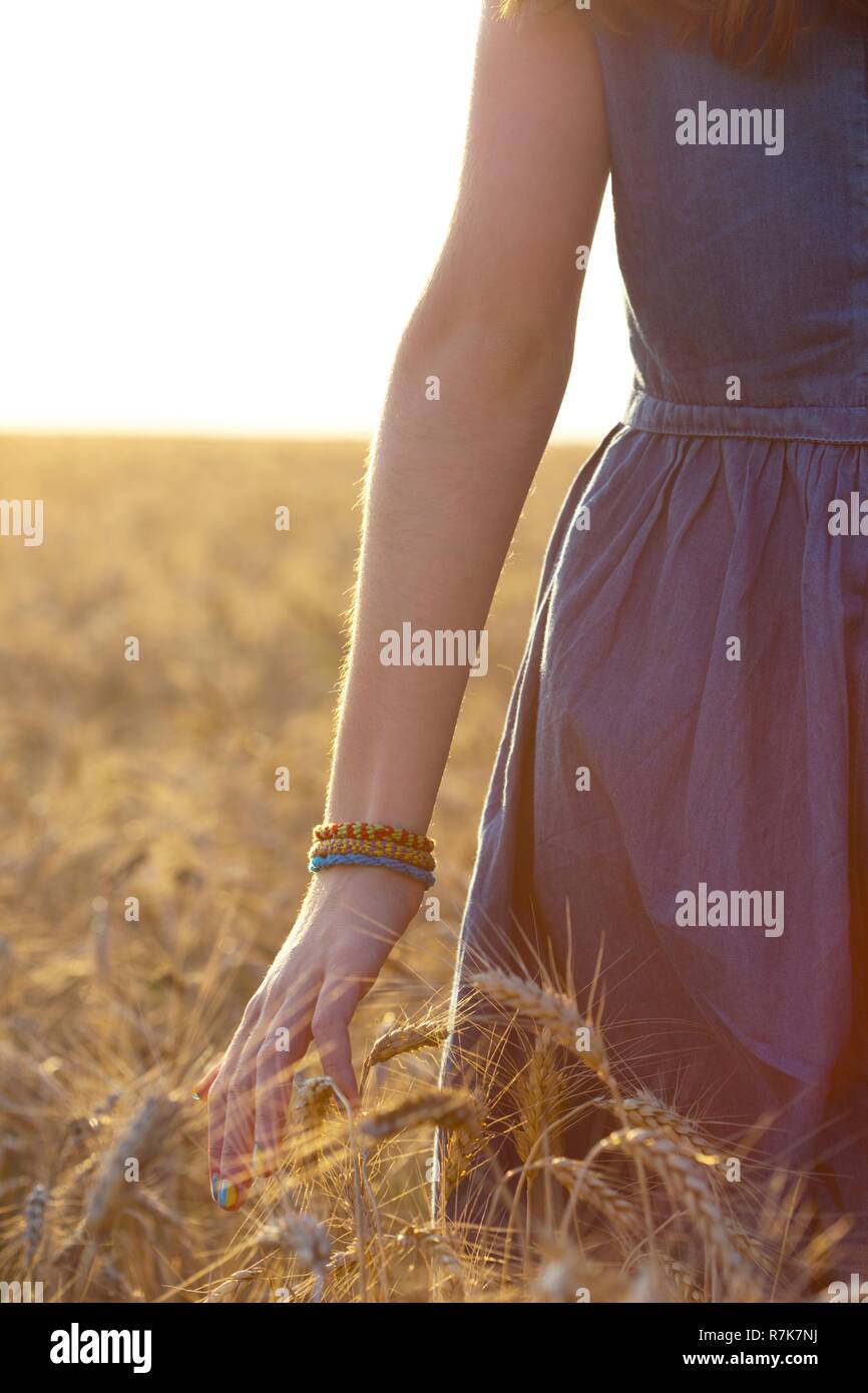 girl walking through the field and touching a wheat with her hand Stock ...