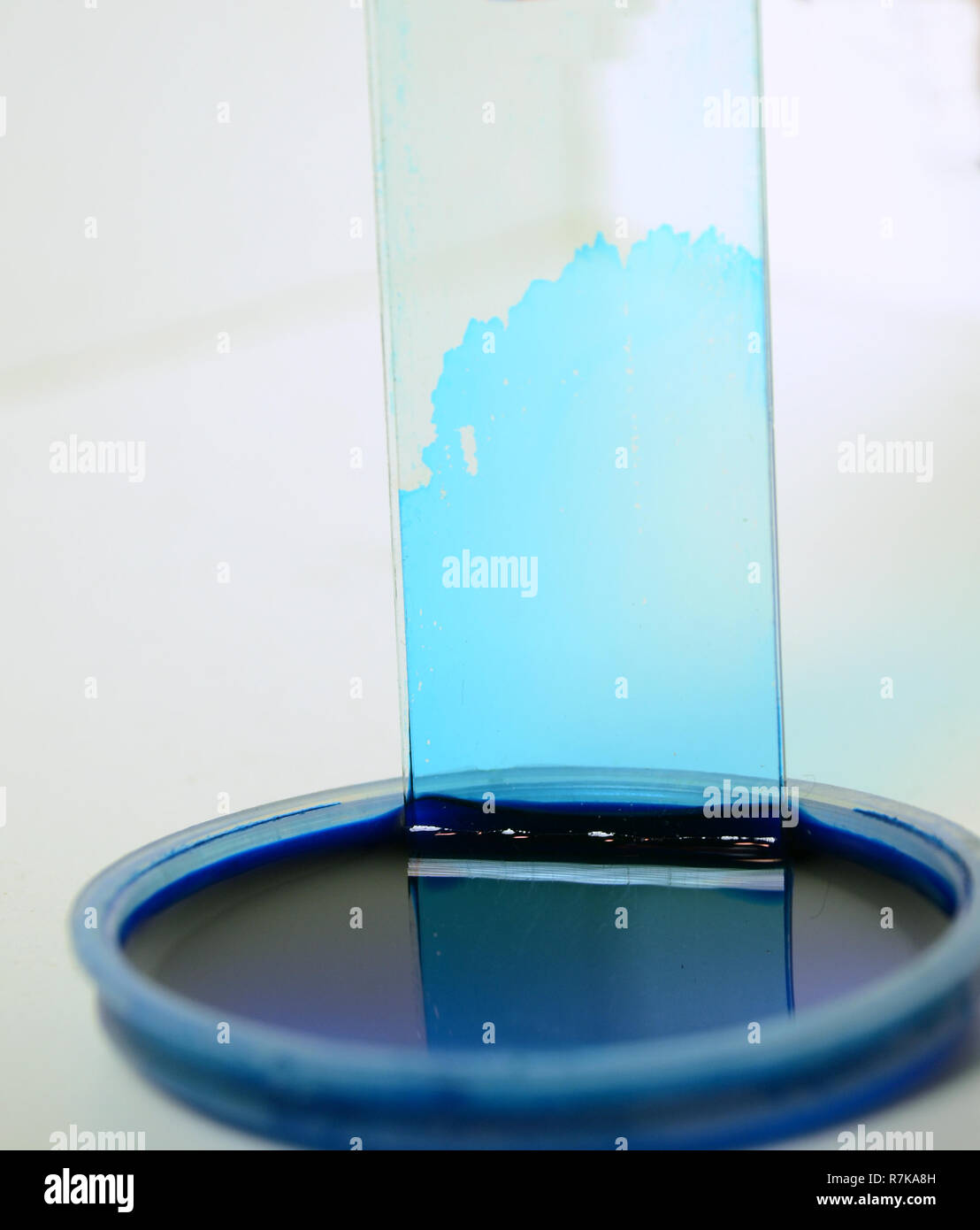 Demonstration of capillary effect; blue ink climbs up in the small gap