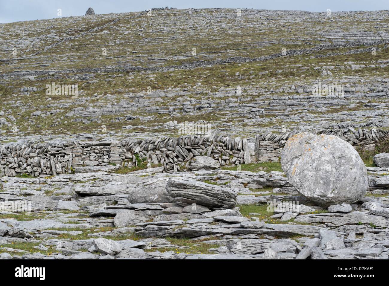 Republic of Ireland, County Clare, The Burren, Black Head Stock Photo