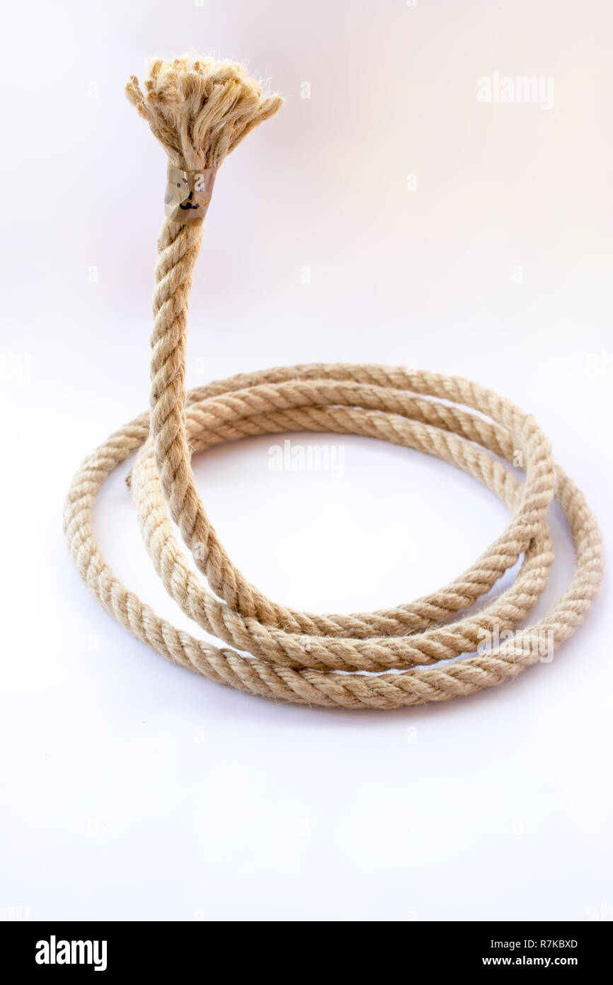 The curled rope with end with the face Stock Photo