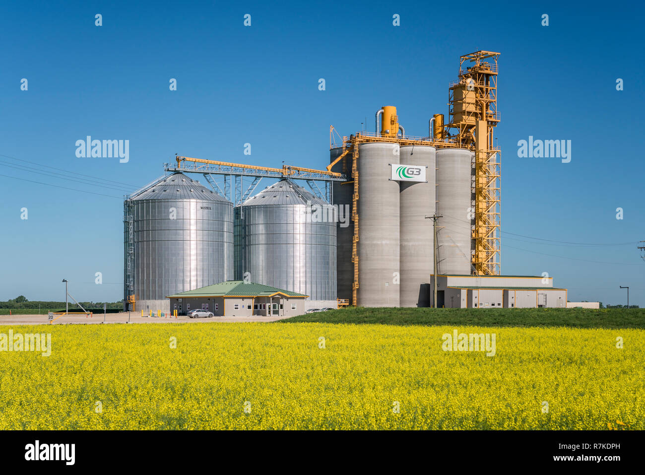 A G3 Canada inland grain handling facility with a blooming yellow