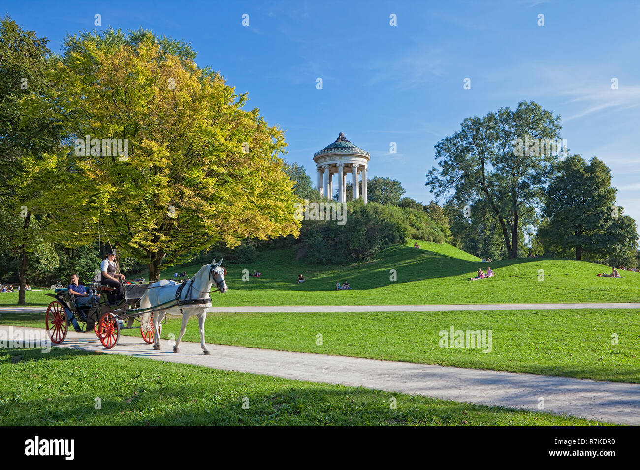 A horsedrawn carriage passing the Monopteros in the English Garden in Munich, Germany. These carriages are used for sightseeing purposes. The English  Stock Photo