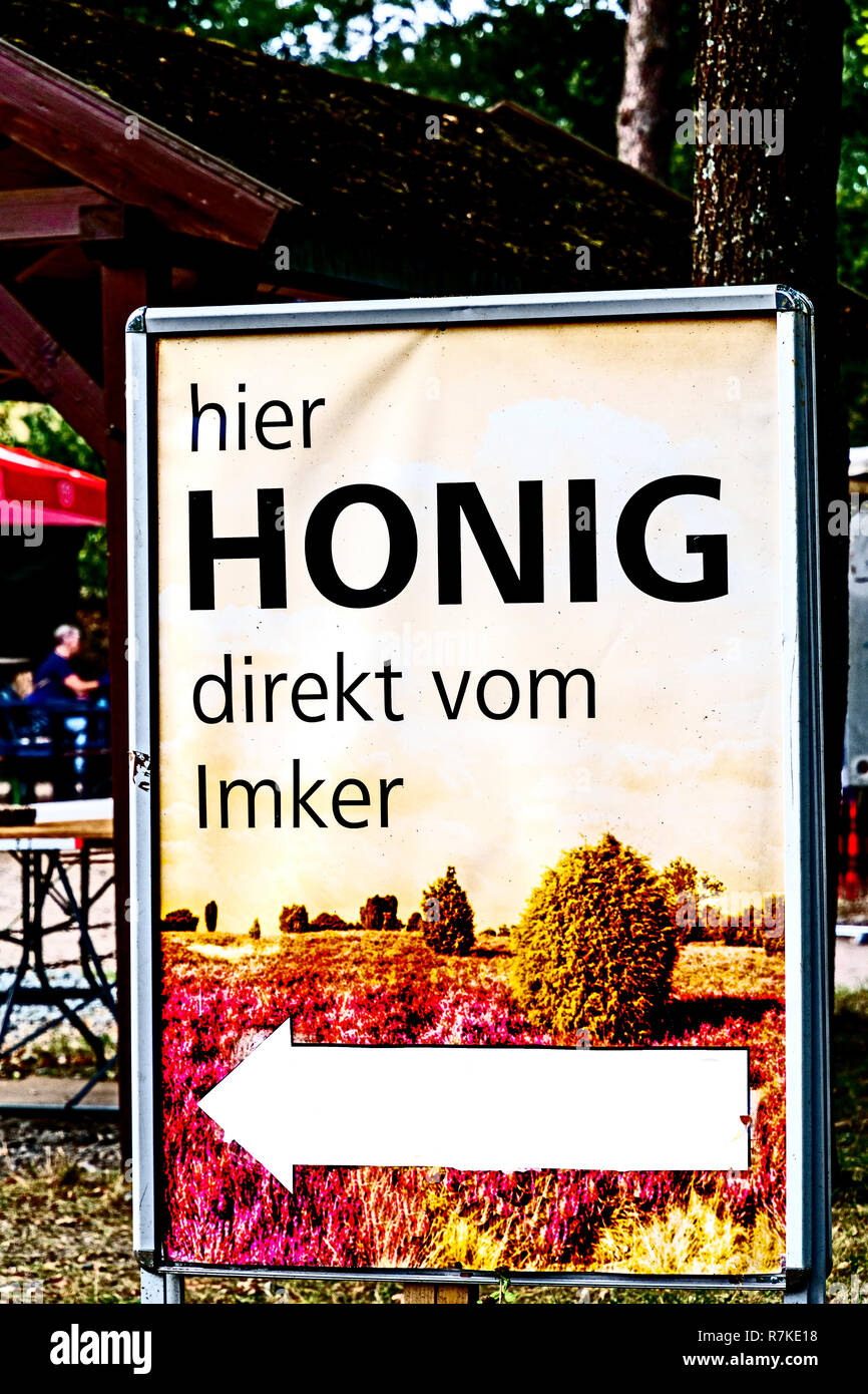 Lueneburg Heath (Lower Saxony); Lüneburger Heide (Niedersachsen Stock ...