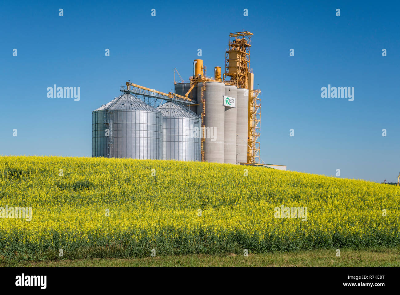 A G3 Canada inland grain handling facility with a blooming yellow