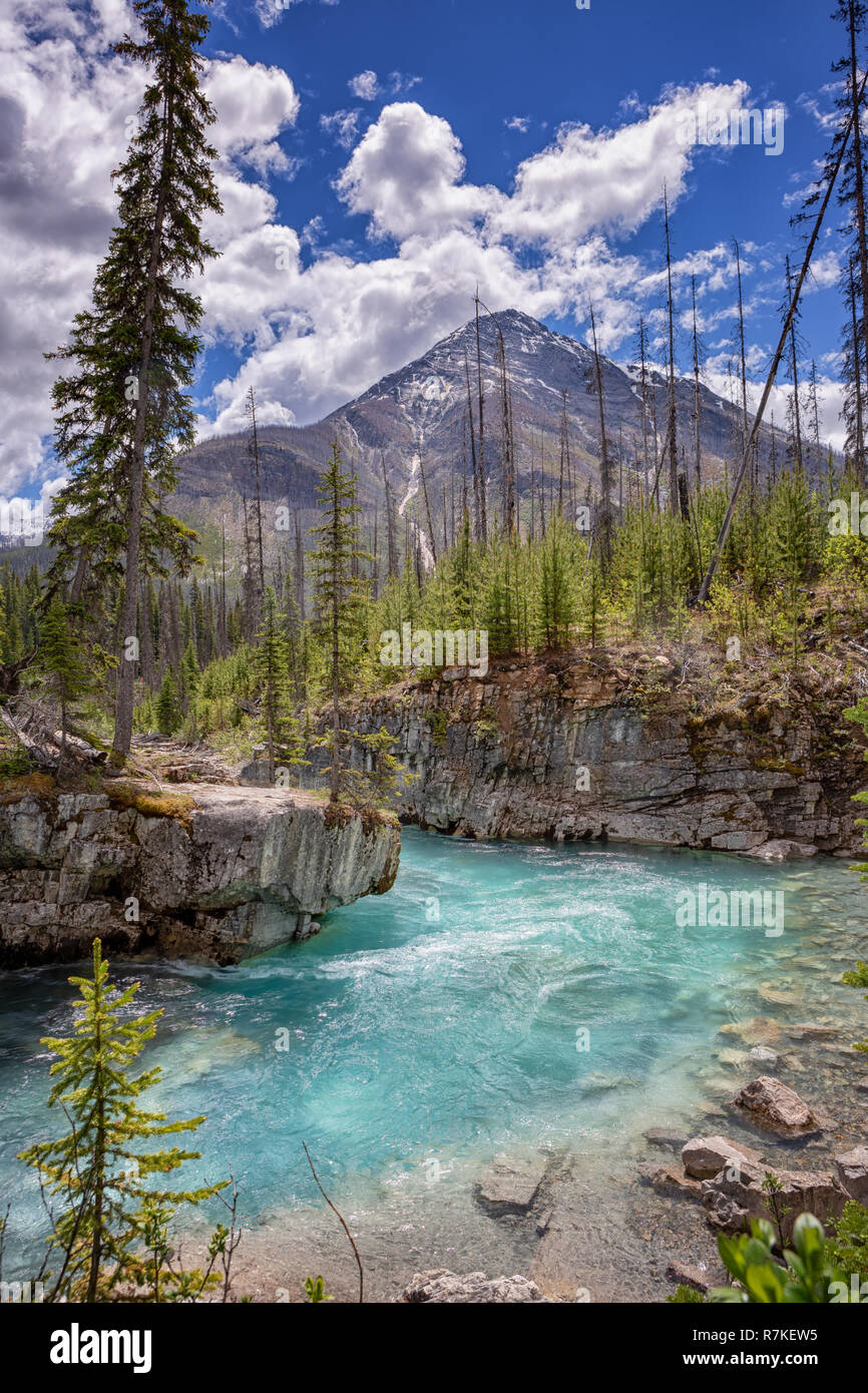 Kootenay national park hi-res stock photography and images - Alamy