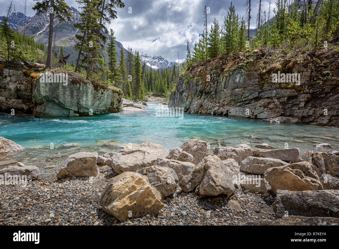 Marble Canyon and Kootenay River in Kootenay National Park, British ...