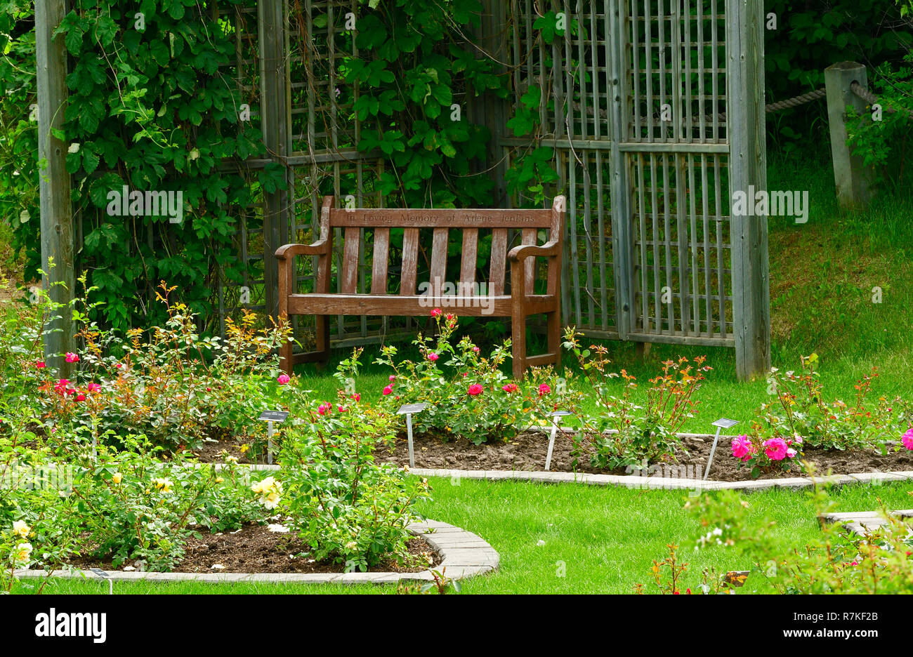 An empty memorial bench in a secluded area of a garden in rural Alberta Canada. Stock Photo