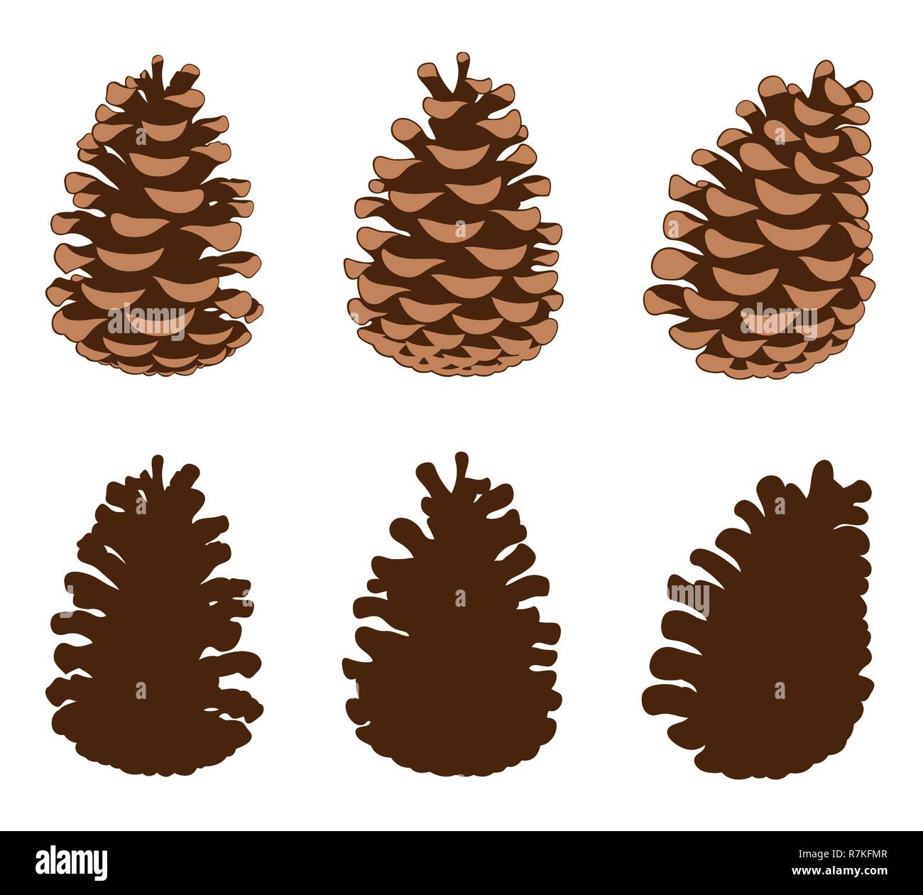Group of different pine cones isolated on white Stock Vector Image ...