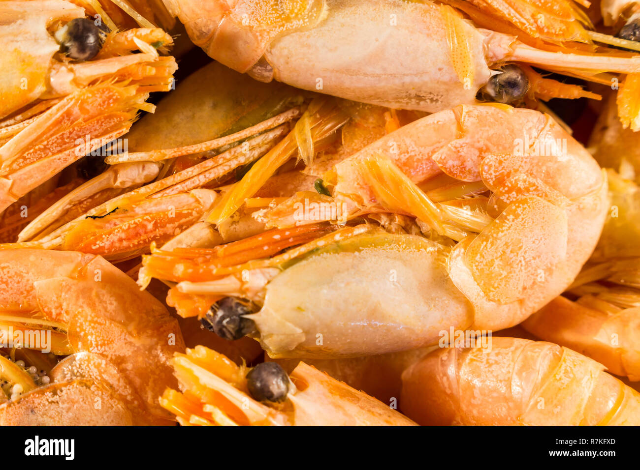 Shrimp red ready. Boiled shrimp pile. Close-up Stock Photo