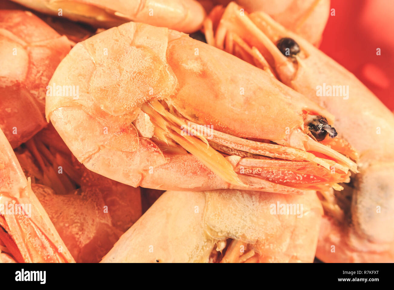 Shrimp red ready. Boiled shrimp pile. Close-up Stock Photo