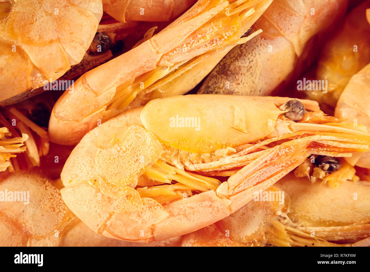 Shrimp red ready. Boiled shrimp pile. Close-up Stock Photo