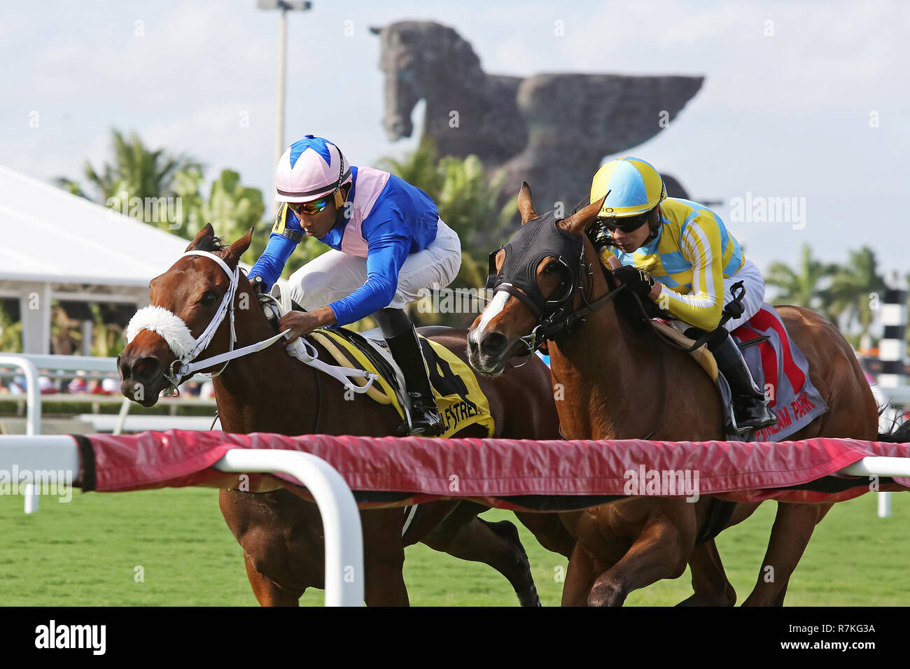 Hallandale Beach, FL, USA. 8th Dec, 2018. December 8, 2018 : #4 A Bit Special (GB) with jockey Romero Maragh on board wins the Wait a While Stakes at Gulfstream Park on December 8, 2018, in Hallandale Beach, FL. Liz Lamont/ESW/CSM/Alamy Live News Stock Photo