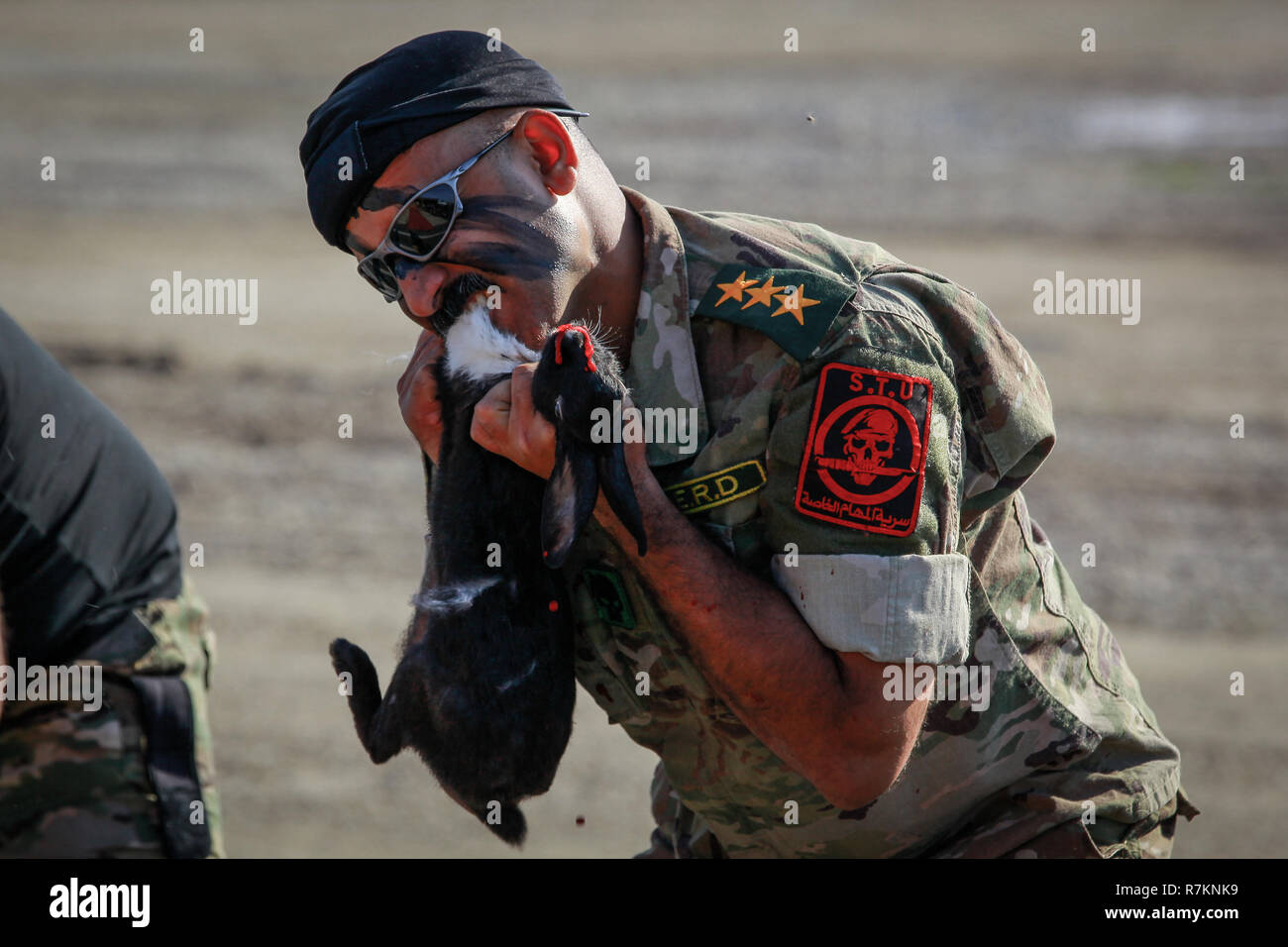 Rabbit Soldier Hi-Res Stock Photography And Images - Alamy