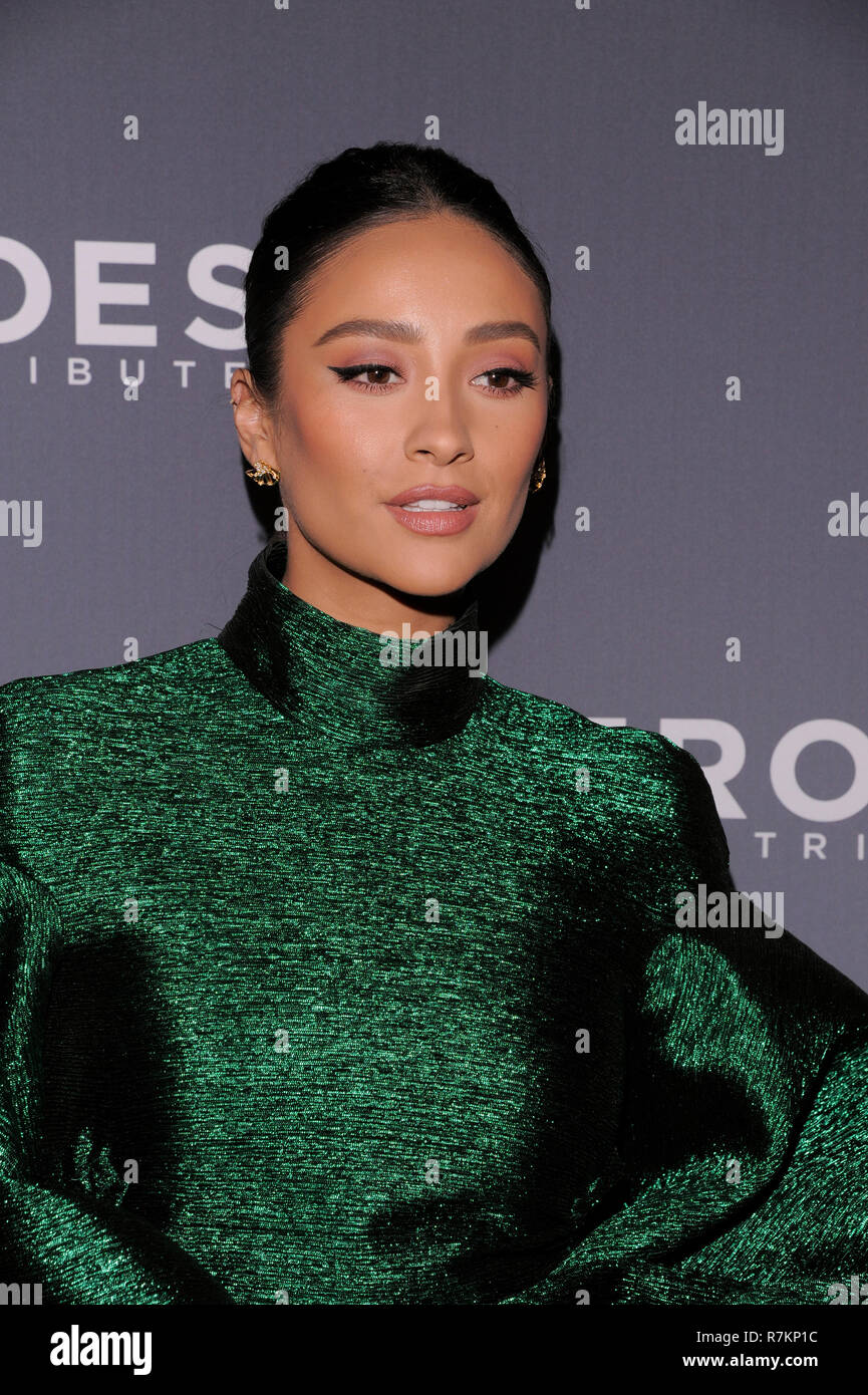 New York, USA. 9th Dec 2018. Shay Mitchell attends the 12th Annual CNN Heroes: An All-Star Tribute at American Museum of Natural History on December 9, 2018 in New York City. Credit: Ron Adar/Alamy Live News Stock Photo