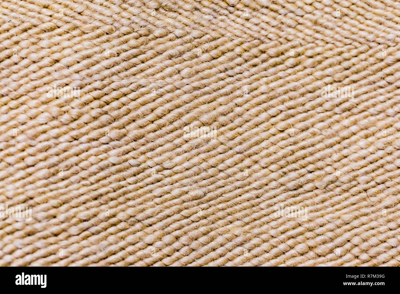 Macro Close Up Soft Focus Brightly Colored Natural Textures Pattern Stock Photo