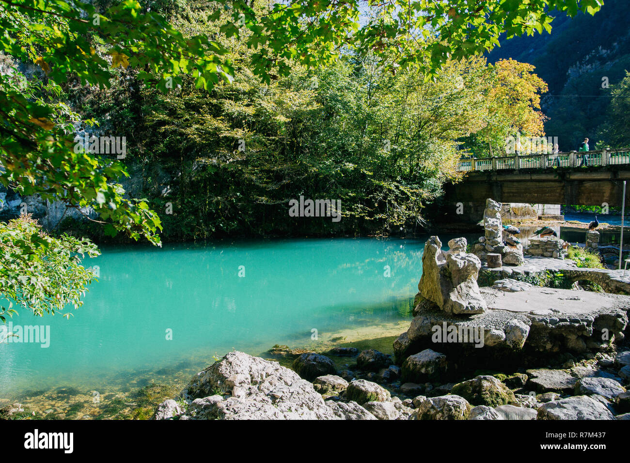 view of the blue lake in Abkhazia with peacocks on the shore. Stock Photo