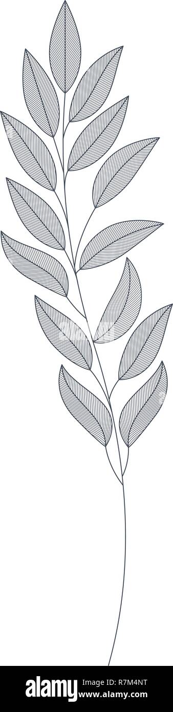 branches with leaves isolated icon Stock Vector Image & Art - Alamy