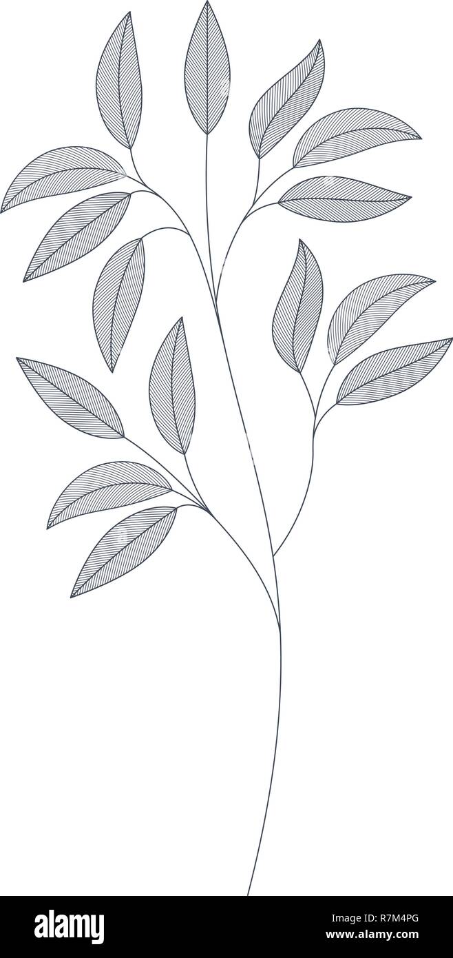 branches with leaves isolated icon Stock Vector Image & Art - Alamy