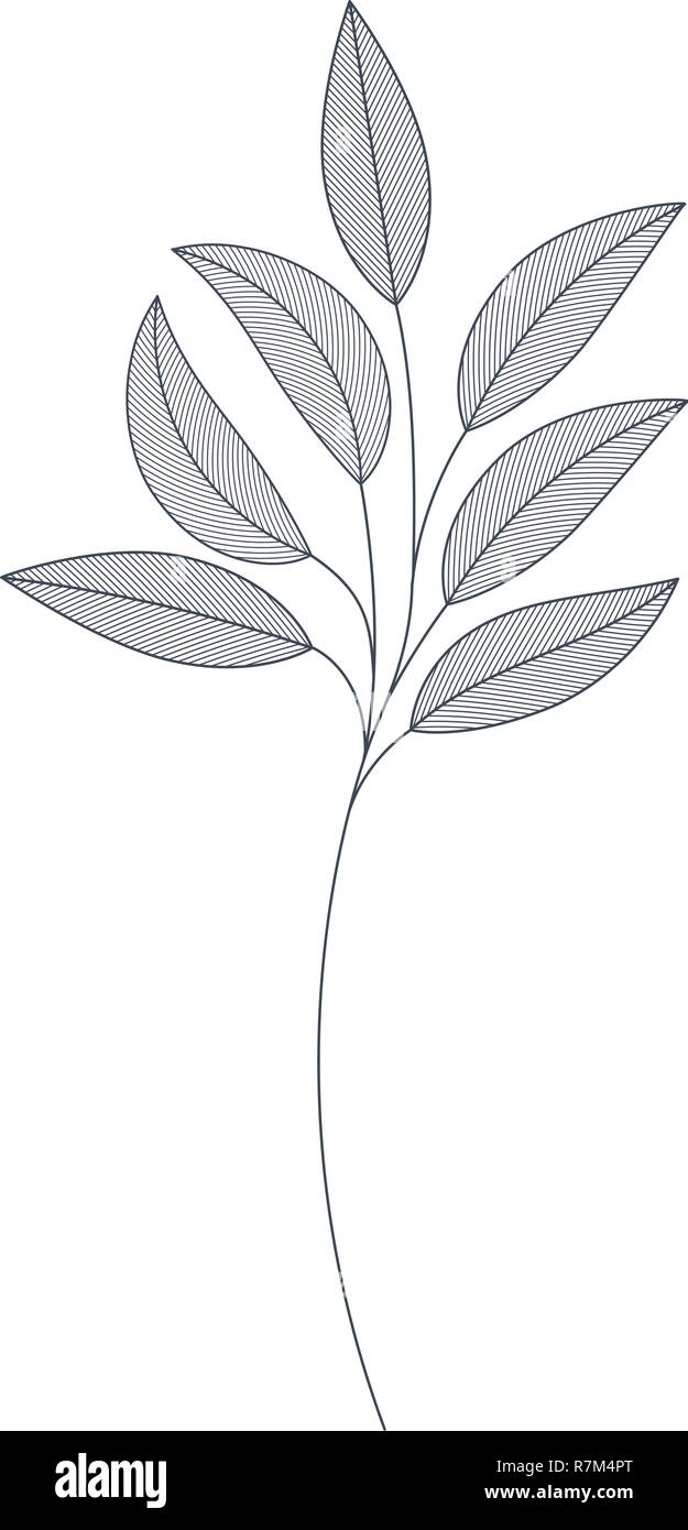 branches with leaves isolated icon Stock Vector Image & Art - Alamy