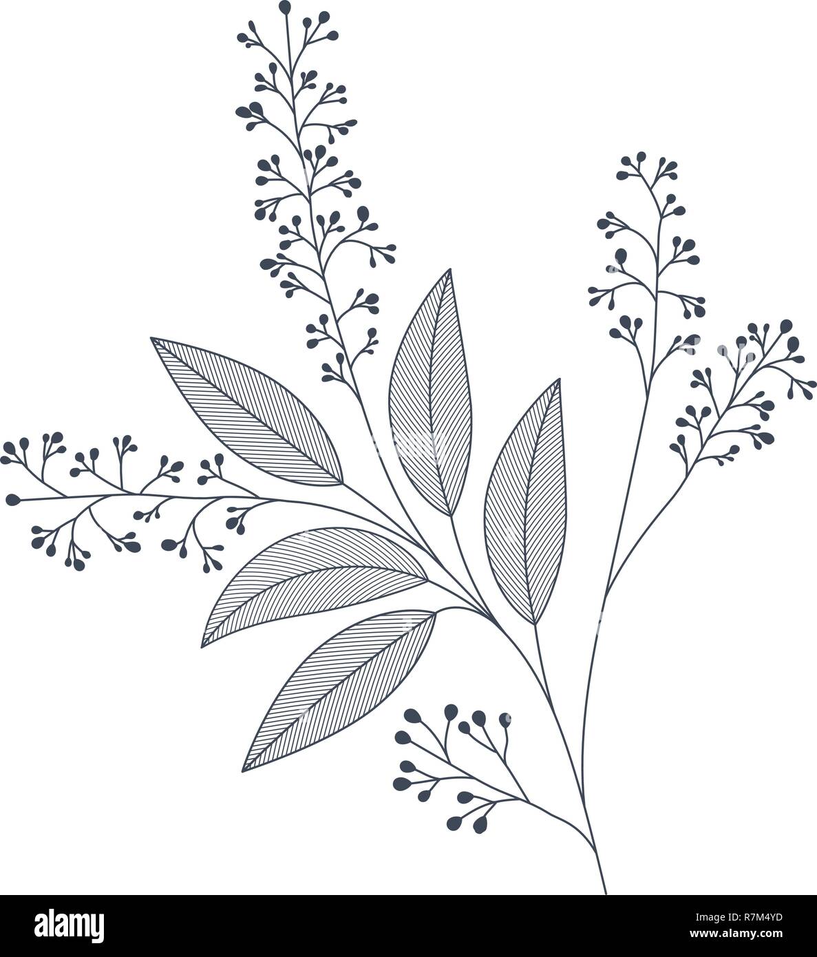 branches with leaves isolated icon Stock Vector Image & Art - Alamy