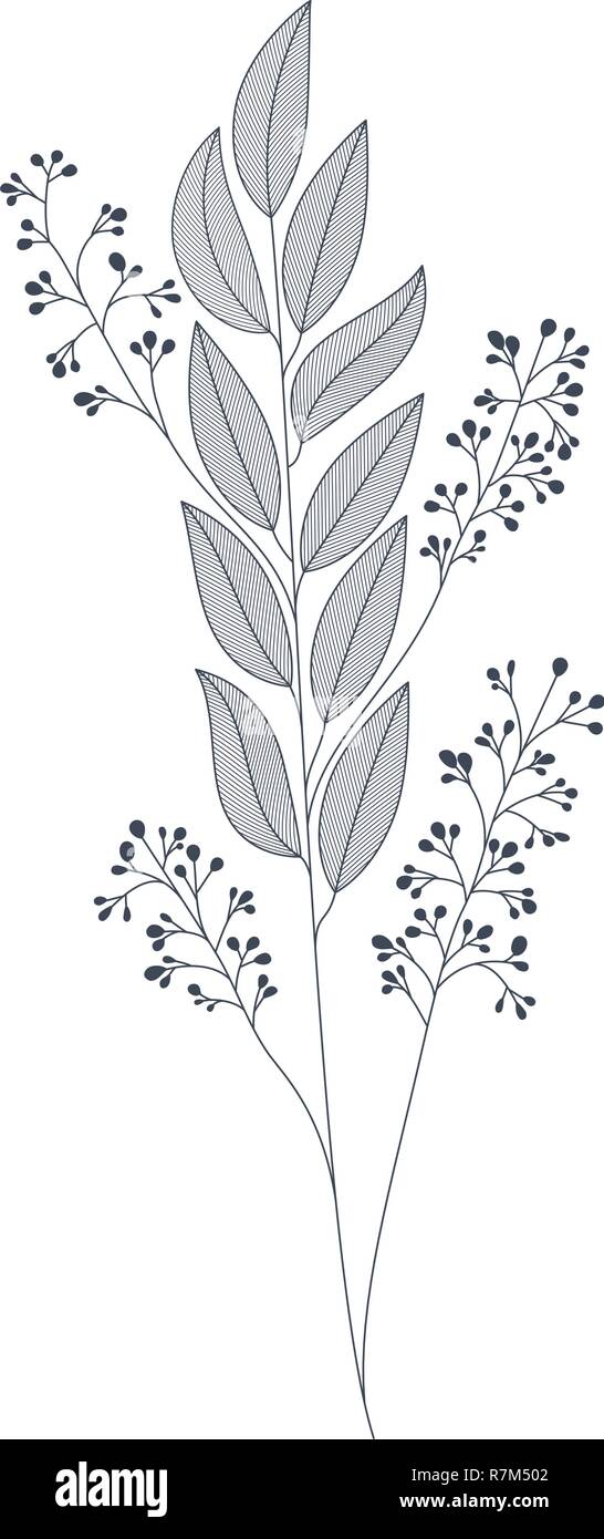 branches with leaves isolated icon Stock Vector Image & Art - Alamy