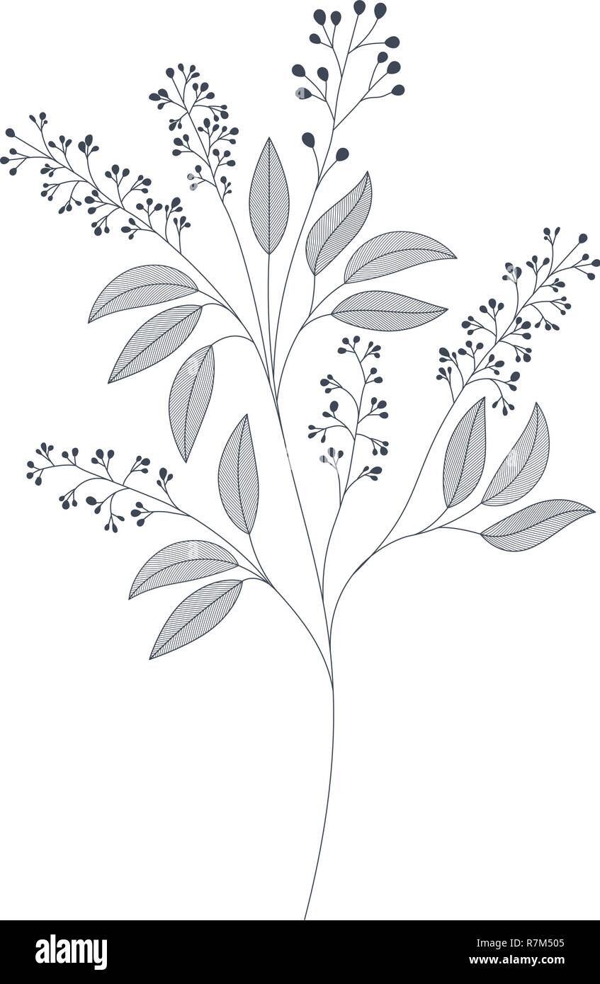 branches with leaves isolated icon Stock Vector Image & Art - Alamy