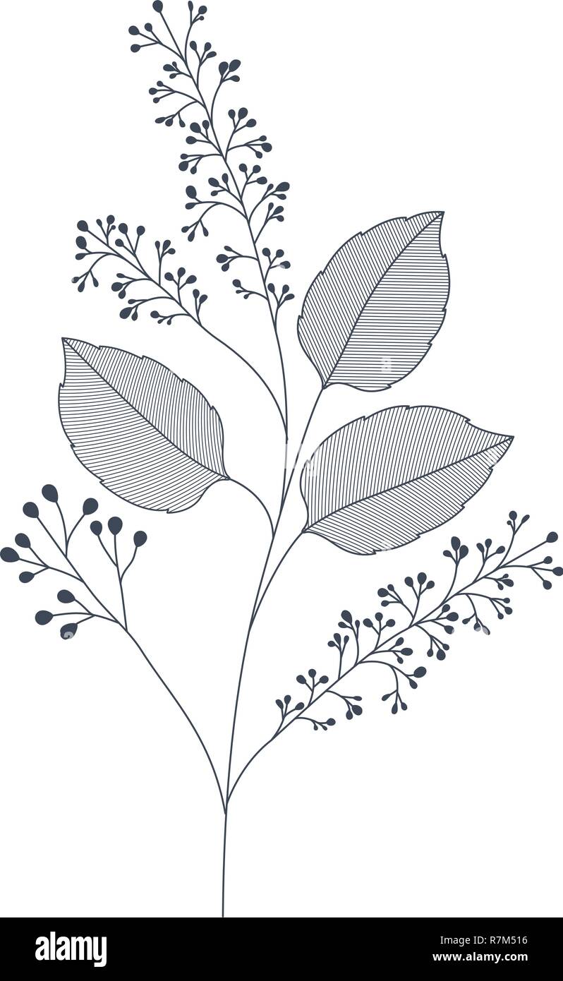 branches with leaves isolated icon Stock Vector Image & Art - Alamy