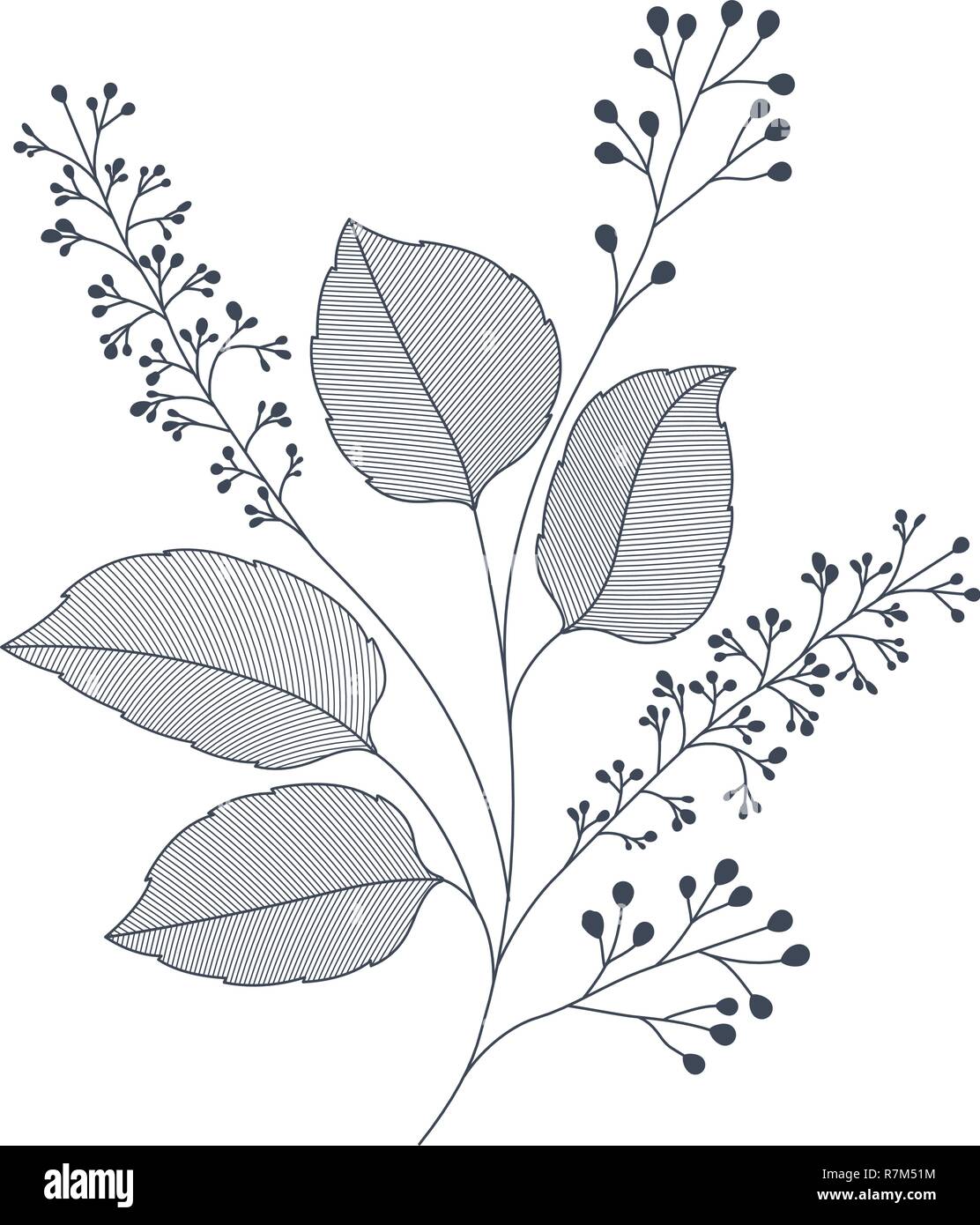 branches with leaves isolated icon Stock Vector Image & Art - Alamy