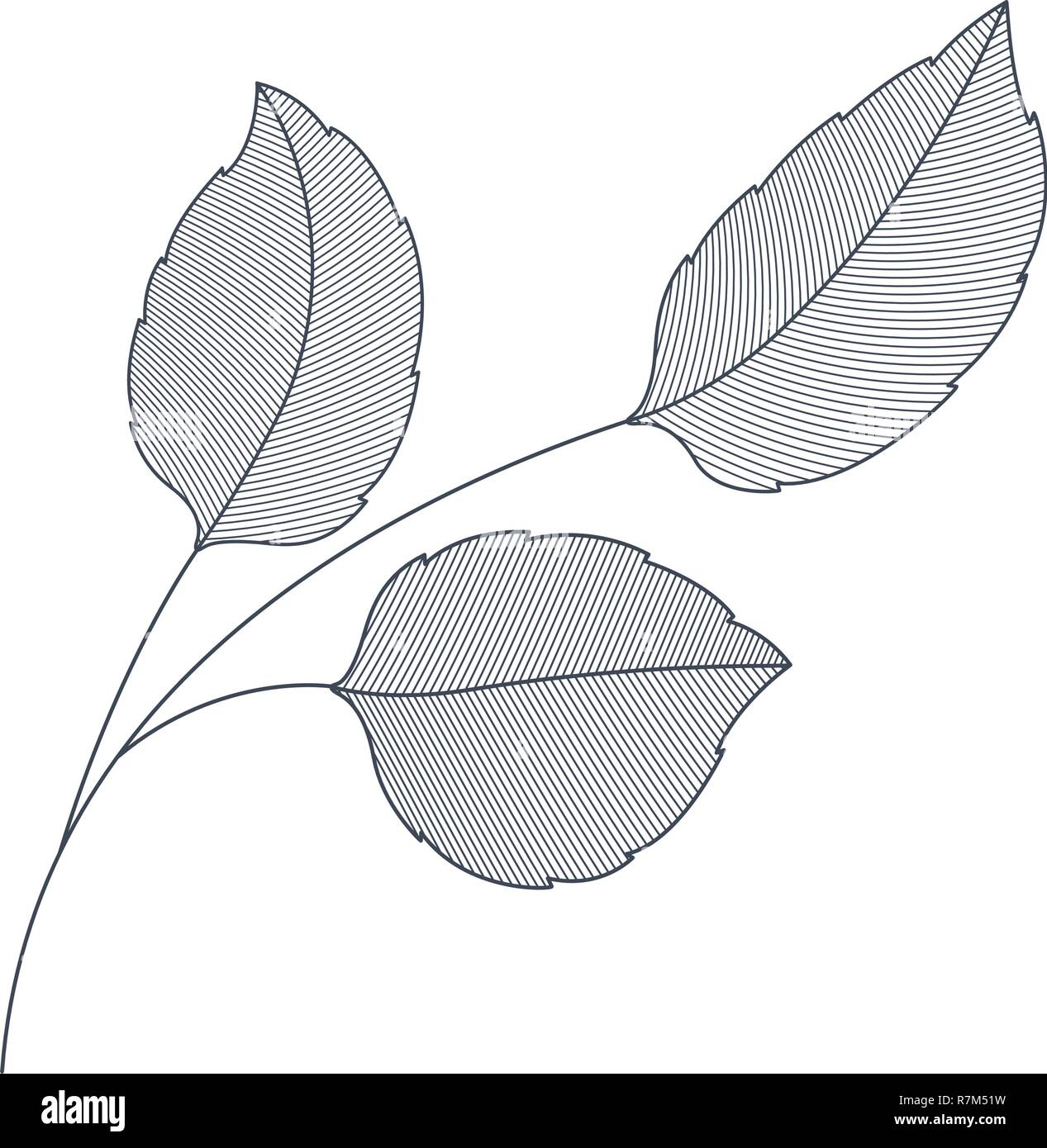 branches with leaves isolated icon Stock Vector Image & Art - Alamy