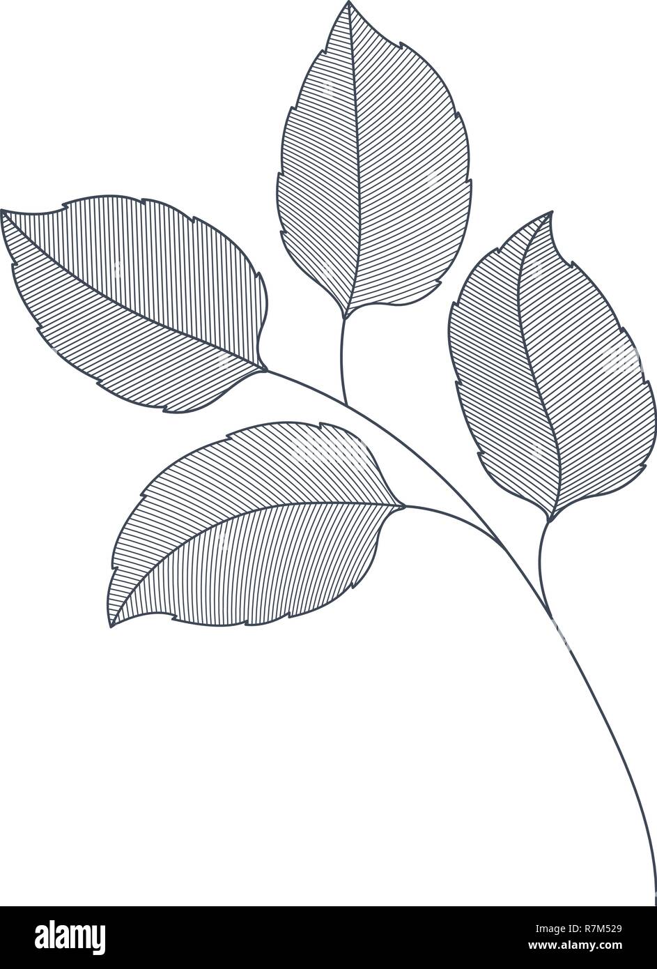 branches with leaves isolated icon Stock Vector Image & Art - Alamy