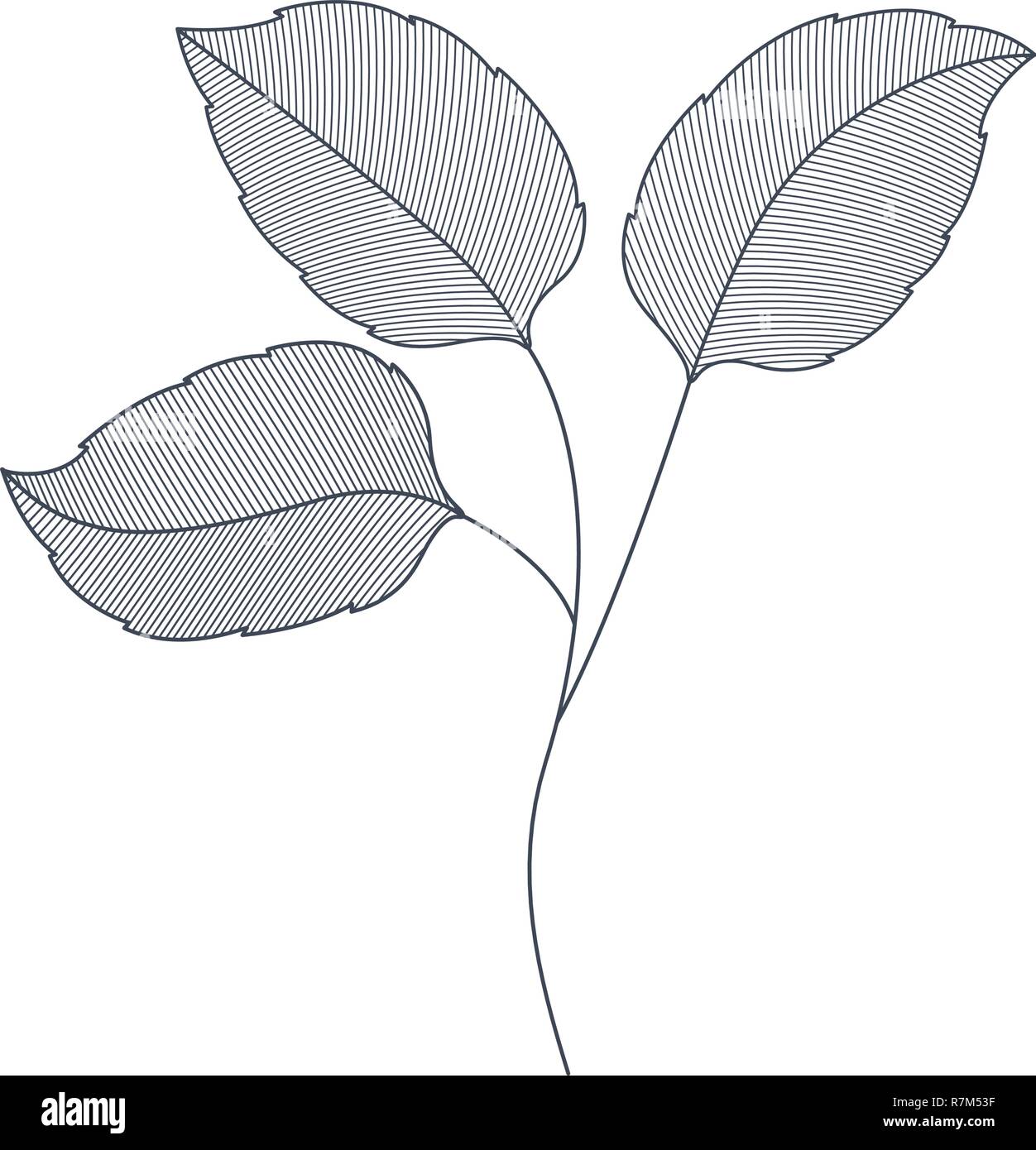 branches with leaves isolated icon Stock Vector Image & Art - Alamy